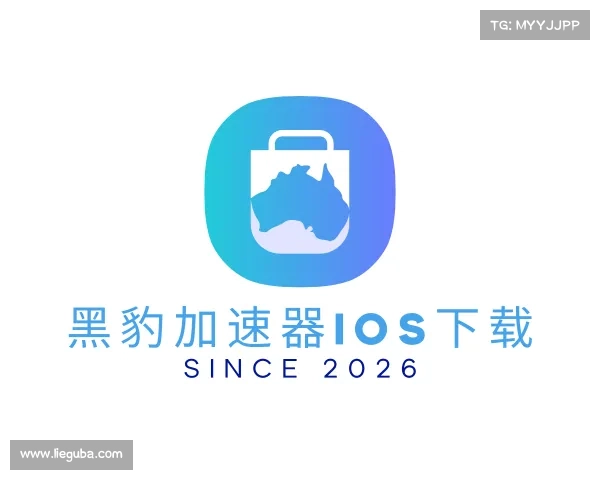 解读黑豹加速器ios下载